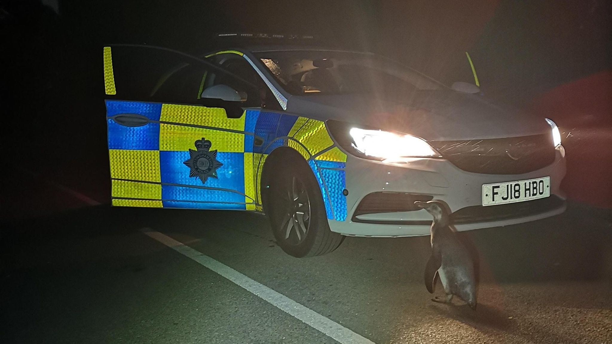 Police spotted the penguin while on patrol in Strelley, Nottinghamshire