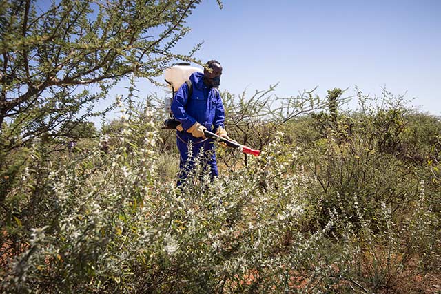 Belgium contributes to FAO and the Government of Ethiopia’s desert locust control operations in affected and at-risk areas