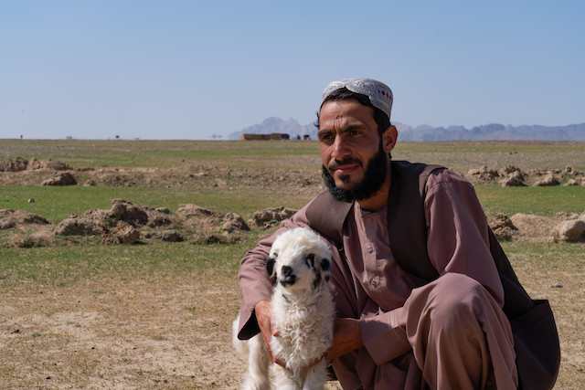 A herder holds a lamb in Kandahar. ©FAO/Alberto Trillo Barca