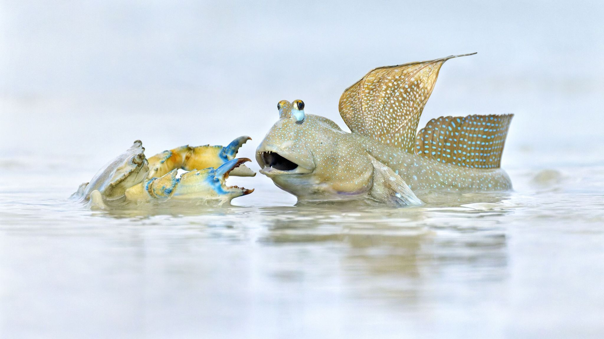 Pic: Ofer Levy/Wildlife Photographer of the Year