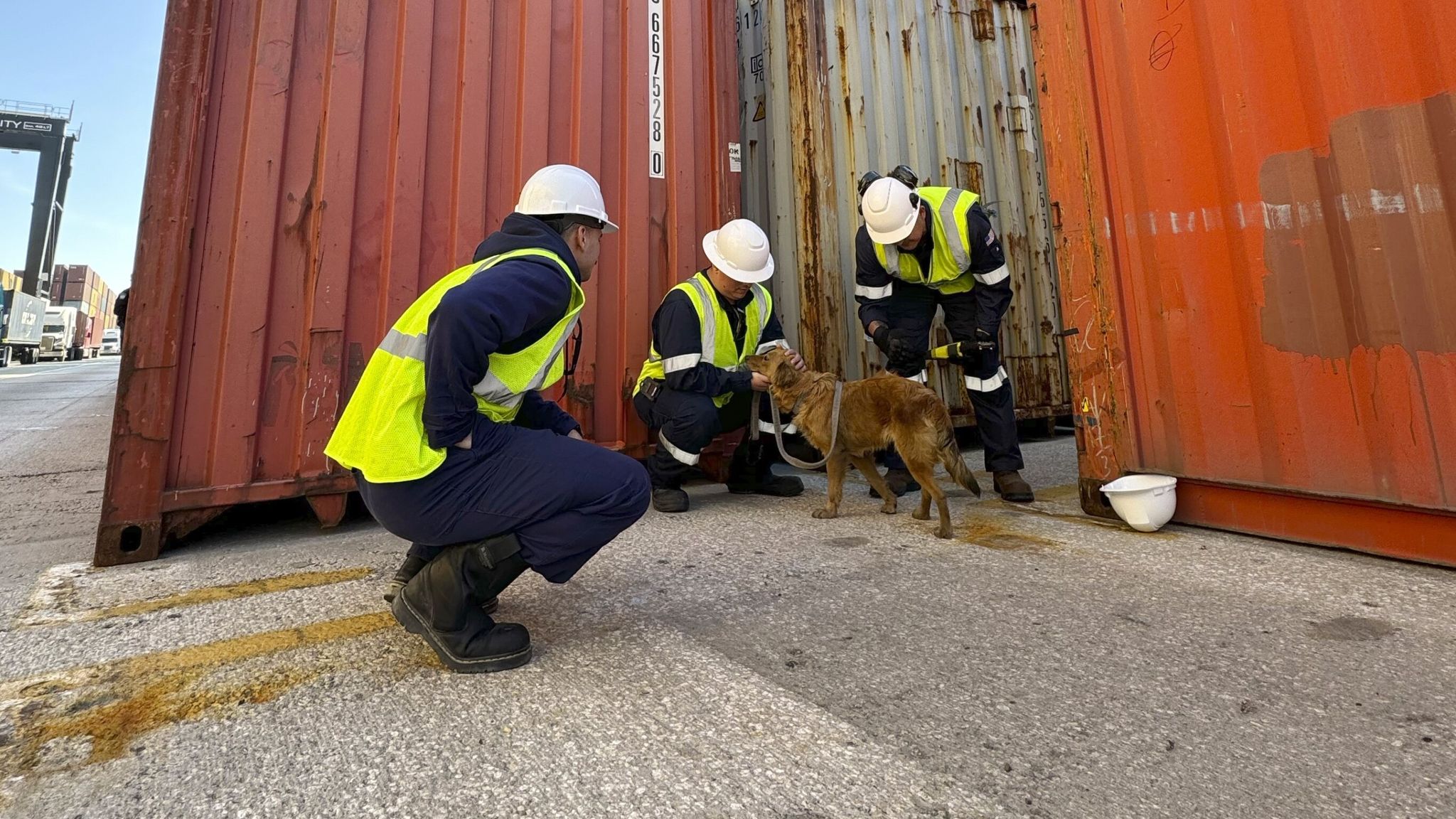 Connie with the inspectors who found her. Pic: AP