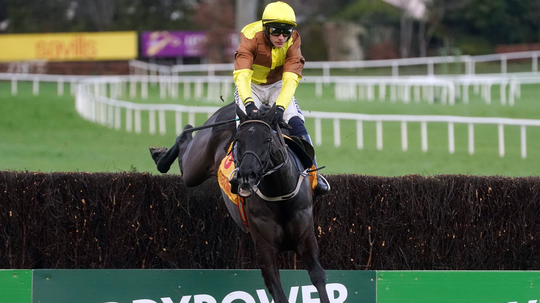 Galopin Des Champs wins at Leopardstown under Paul Townend