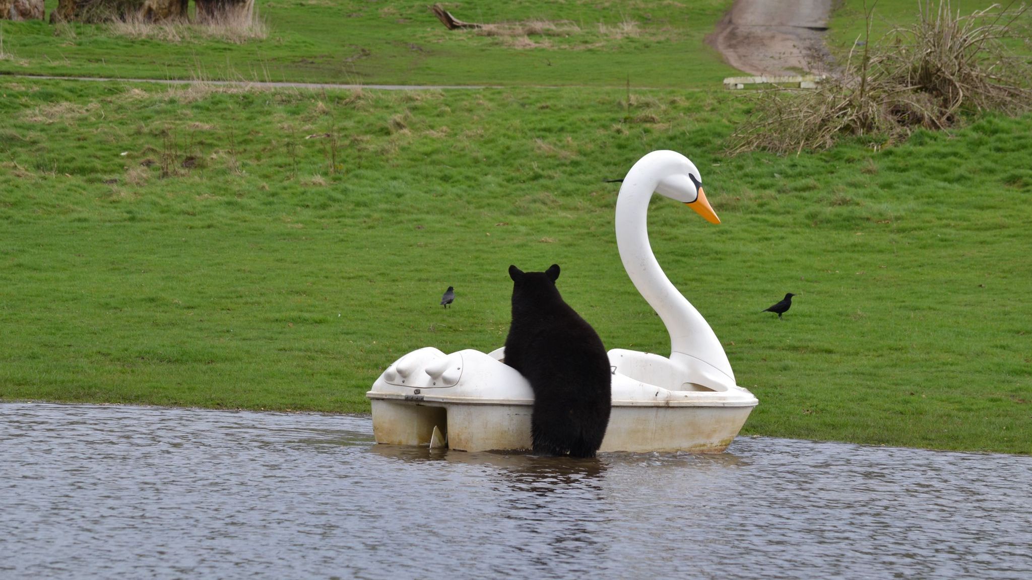 Pic: Woburn Safari Park