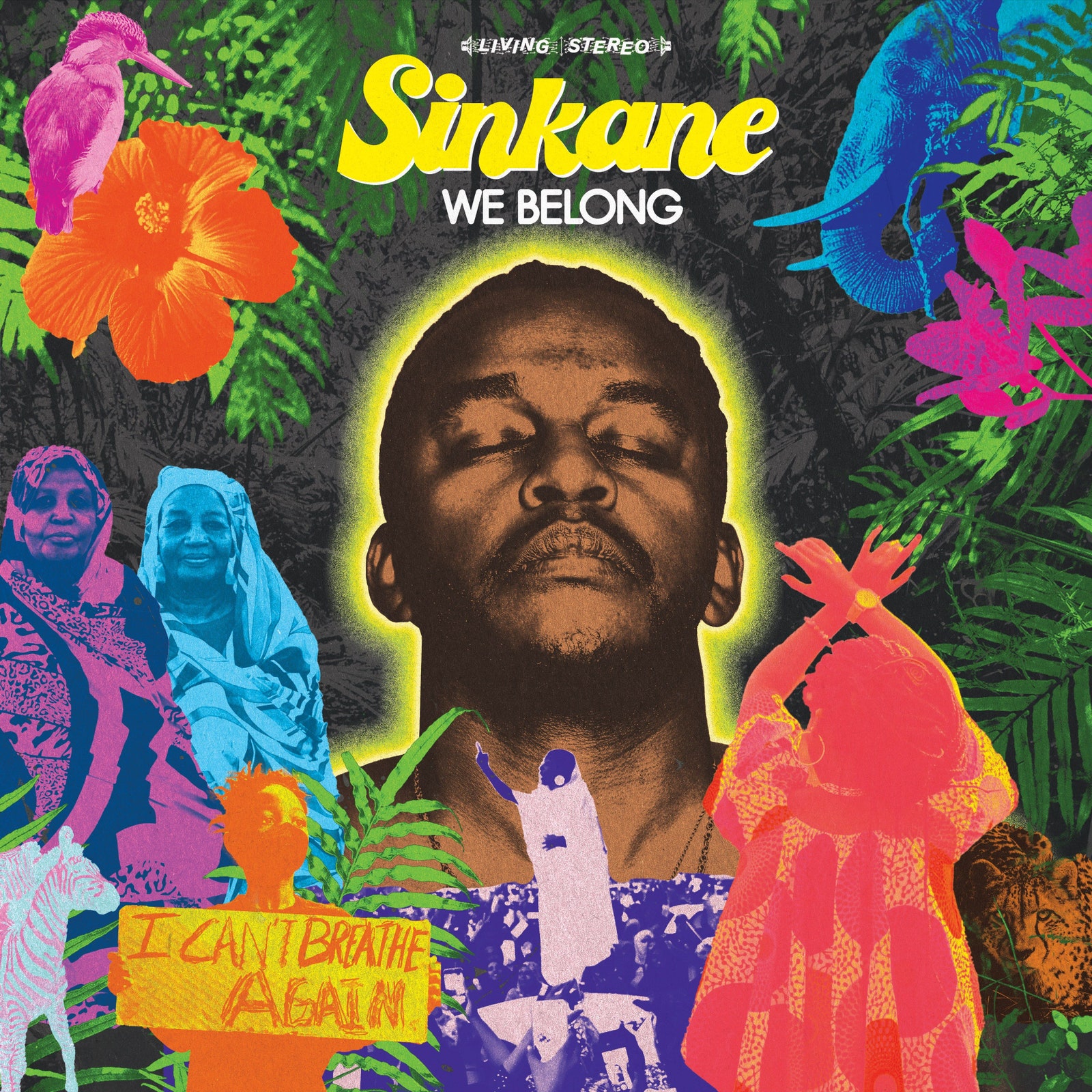 Sinkane We Belong