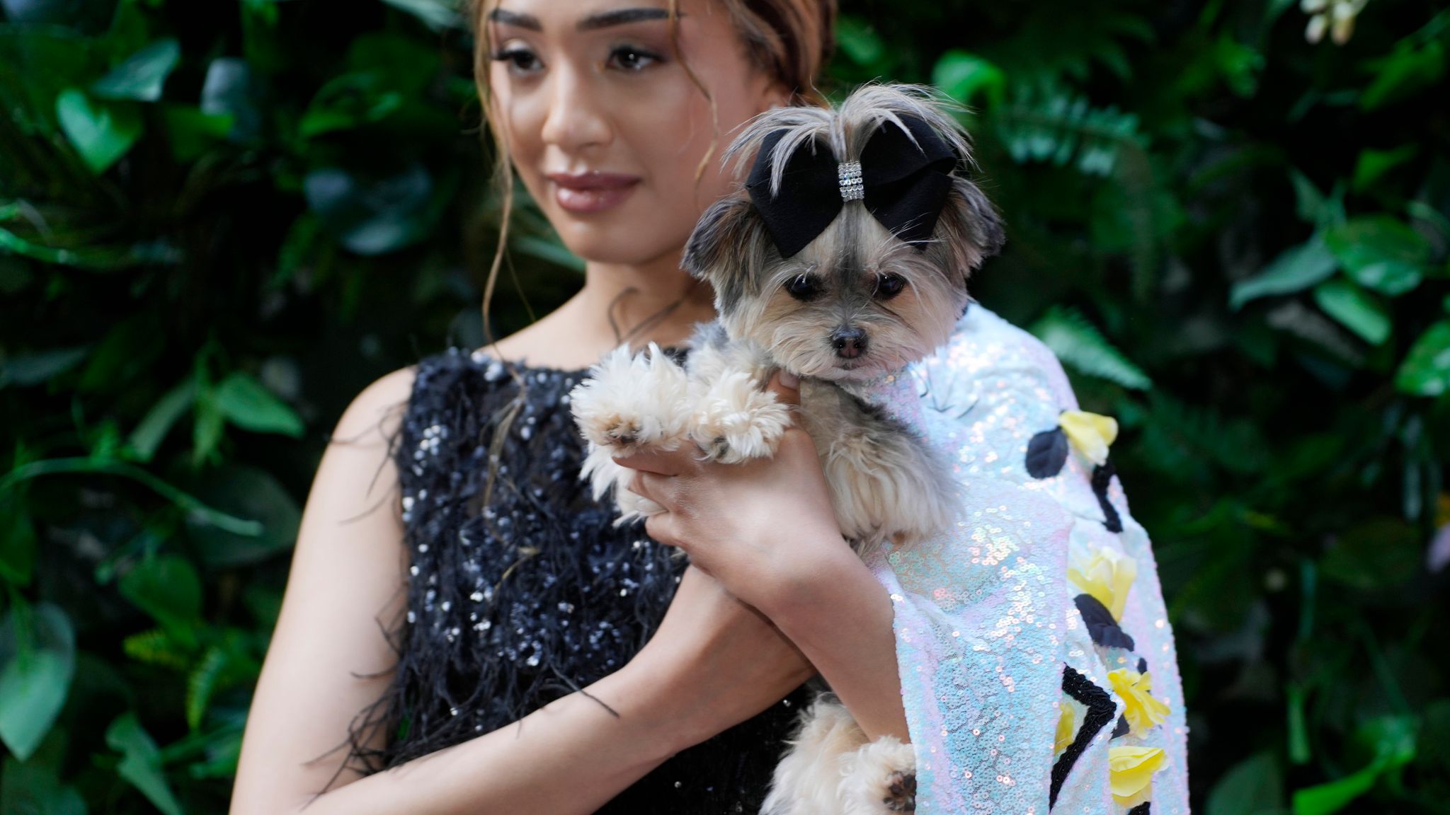 A dog and model attend the Pet Gala fashion show at AKC Museum of The Dog, Monday, May 20, 2024, in New York. (Photo by Charles Sykes/Invision/AP)