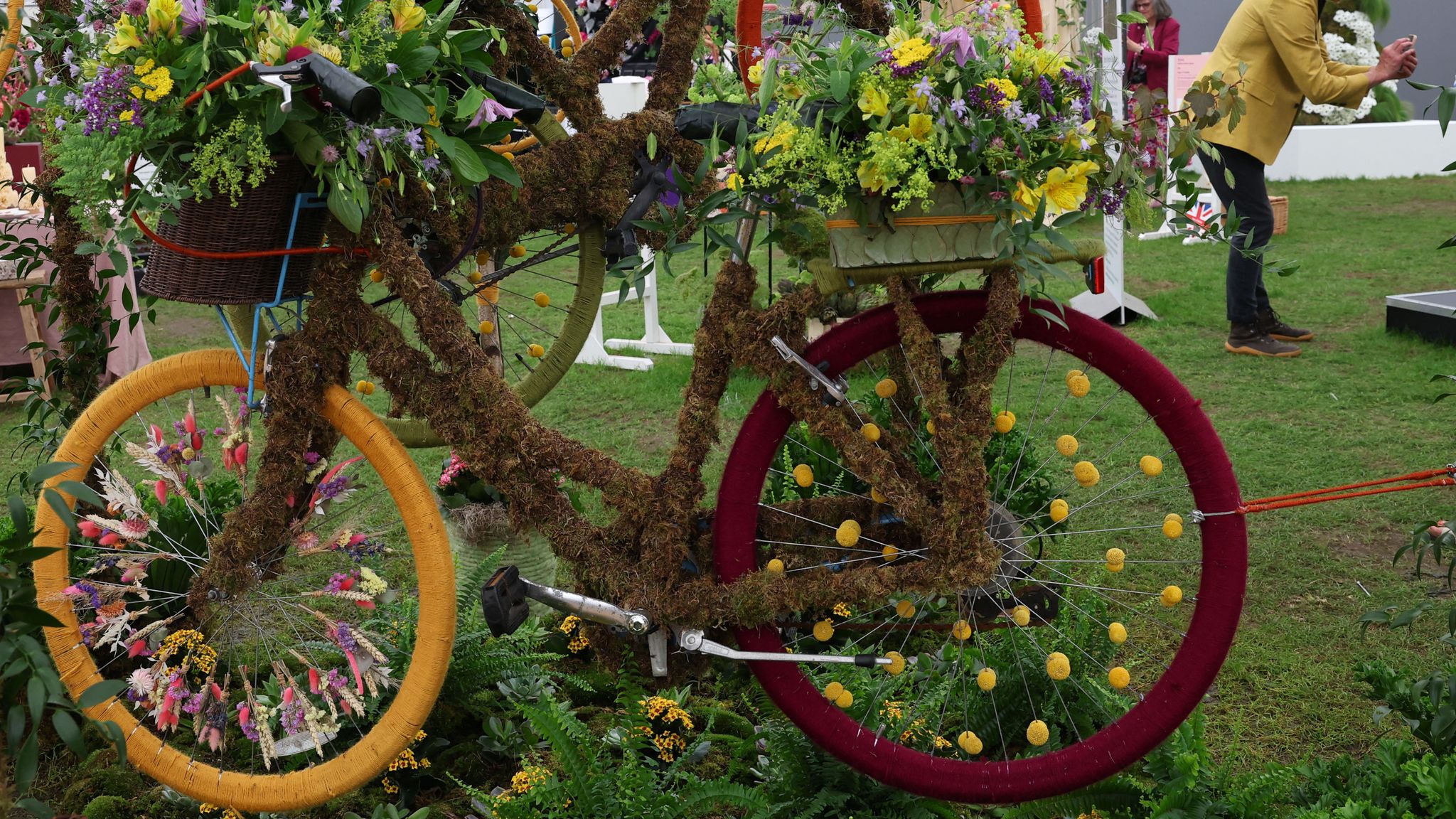 Floral decorated bicycles are displayed at Chelsea Flower Show. Pic Reuters