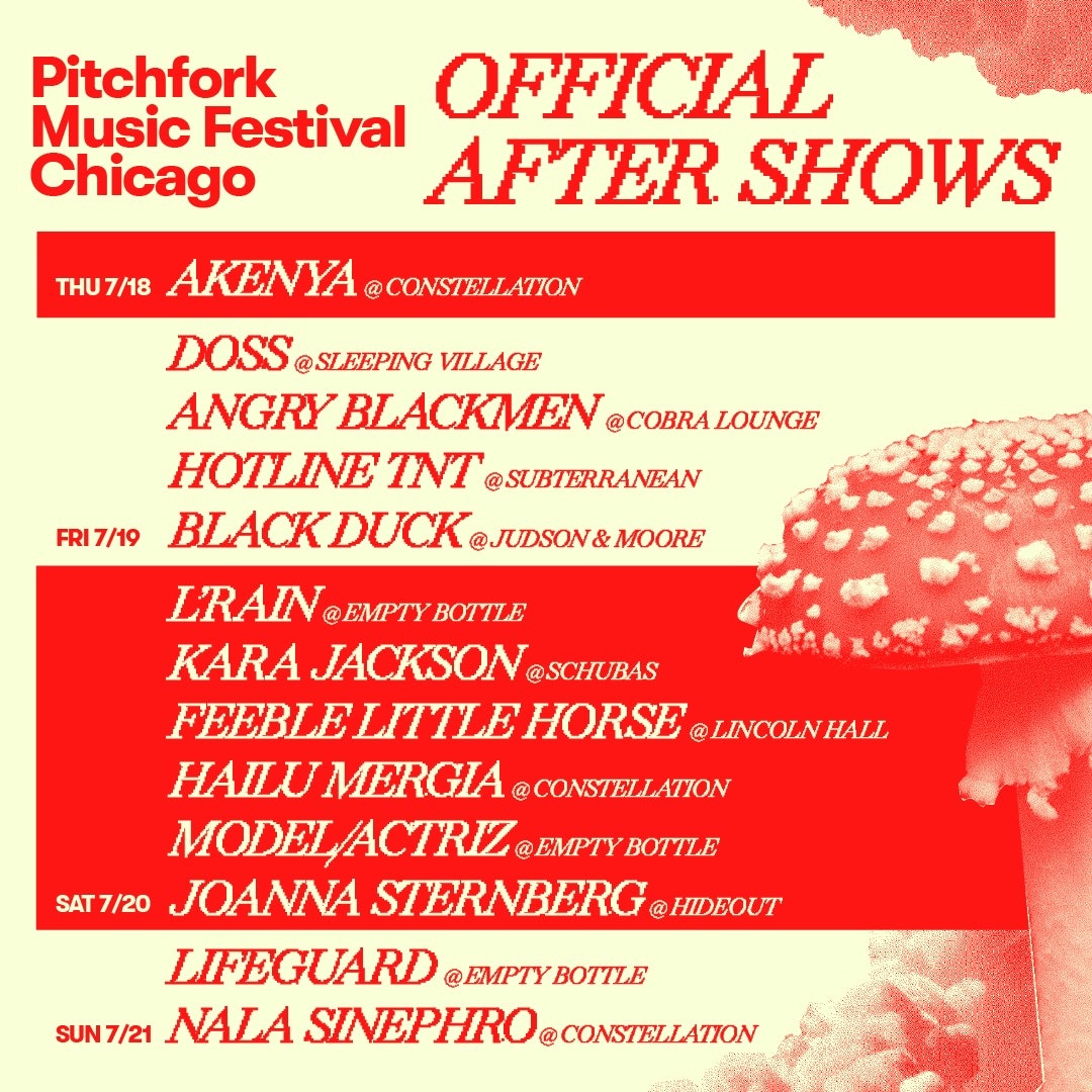 Pitchfork Music Festival After Shows