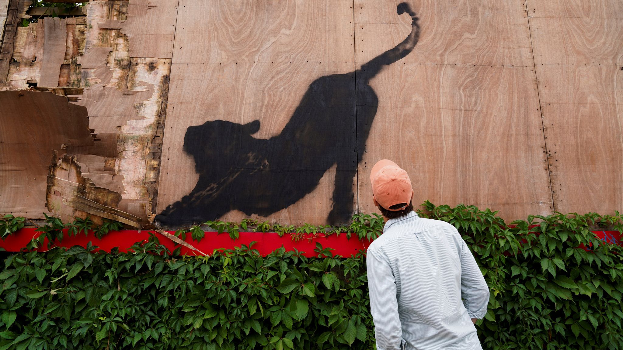 A person looks at the new artwork of a cat, by the British artist Banksy, on Edgware Road, in London, Britain, August 10, 2024. REUTERS/Maja Smiejkowska 