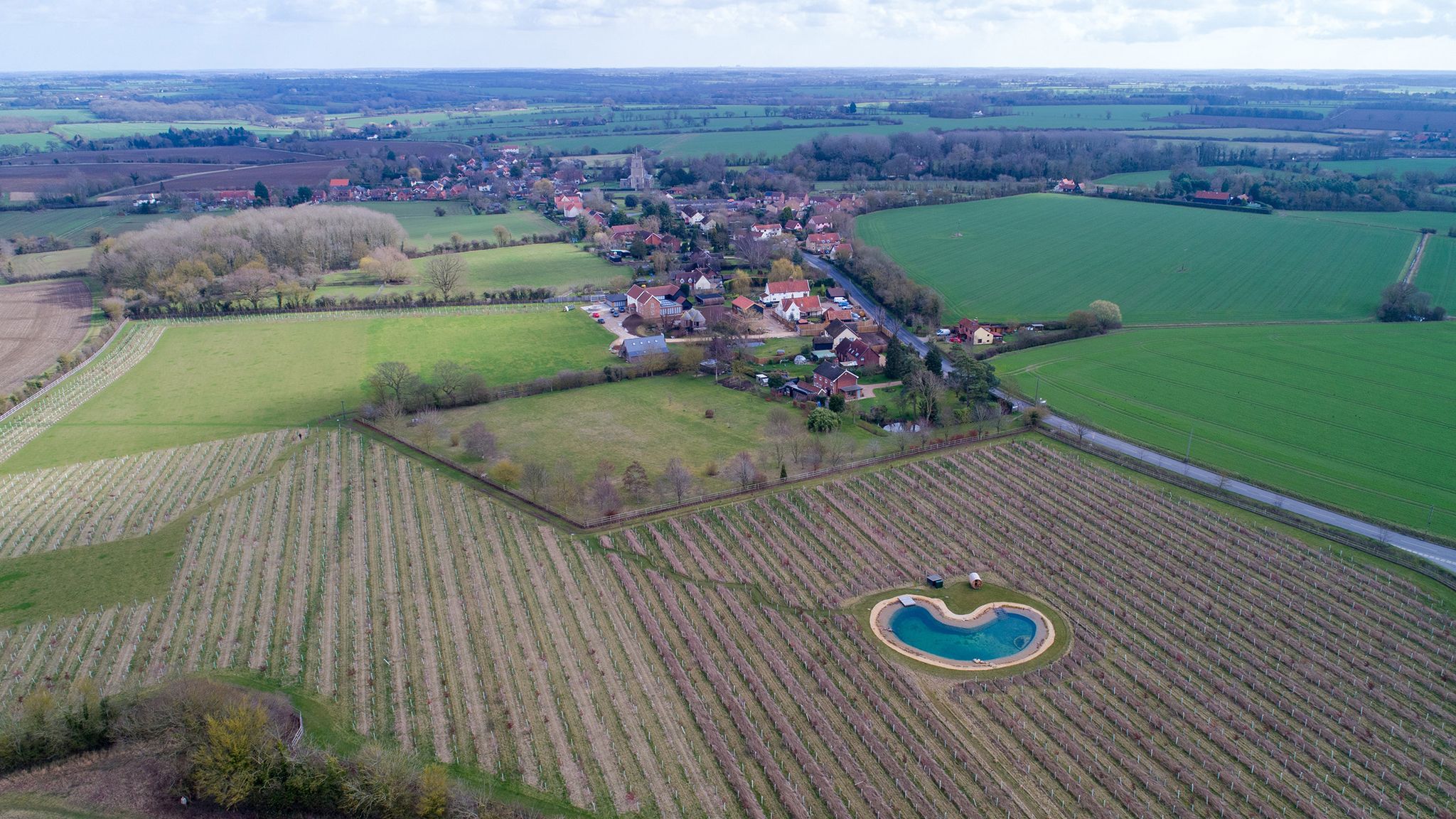 Ed Sheeran's new pond