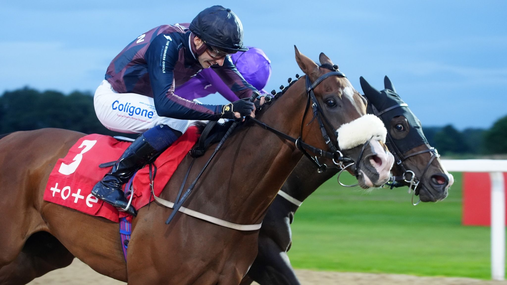 Tolstoy ridden by jockey Ben Robinson on their way to winning 