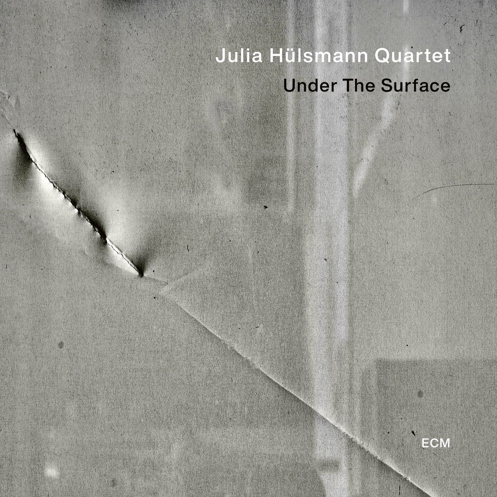 Julia Hülsmann Under the Surface