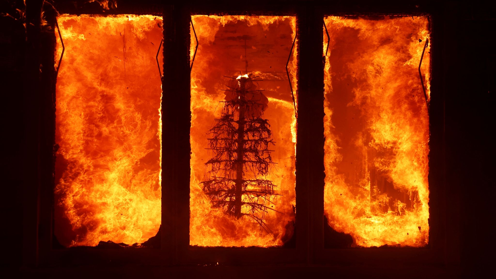 The Palisades Fire burns a Christmas tree inside a residence in the Pacific Palisades neighborhood. Pic: AP